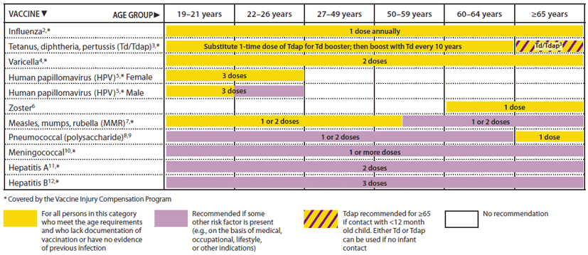 The figure shows the recommended adult immunization schedule, by vaccine and age group in the United States for 2012. For Figure 1, the bar for Tdap/Td for persons 65 years and older has been changed to a yellow and purple hashed bar to indicate that persons in this age group should receive 1 dose of Tdap if they are a close contact of an infant younger than 12 months of age. However, other persons 65 and older who are not close contacts of infants may receive either Tdap or Td.
 The 19-26 years age group was divided into 19-21 years and 22-26 years age groups. The HPV vaccine bar was split into separate bars for females and males. The recommendation for all males 19-21 years to receive HPV is indicated with a yellow bar, and a purple bar is used for 22-26 year old males to indicate that the vaccine is only for certain high-risk groups.
